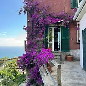  Appartamento Amazing Flat At The Heart Of 5 Terre National Park