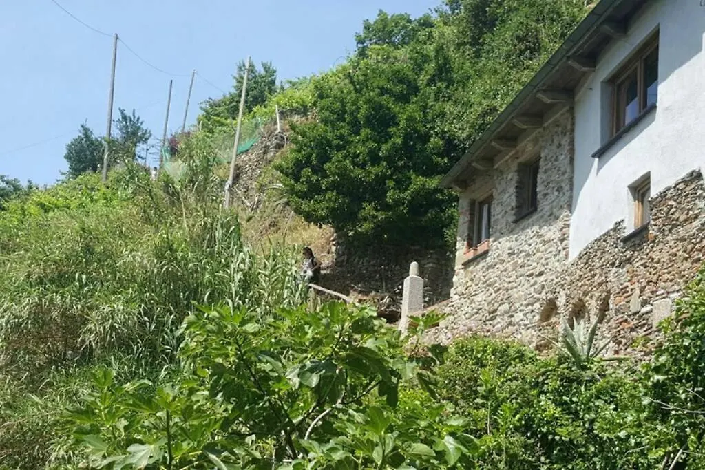 Casa Da Muccia Vernazza Vista Mare Apartment